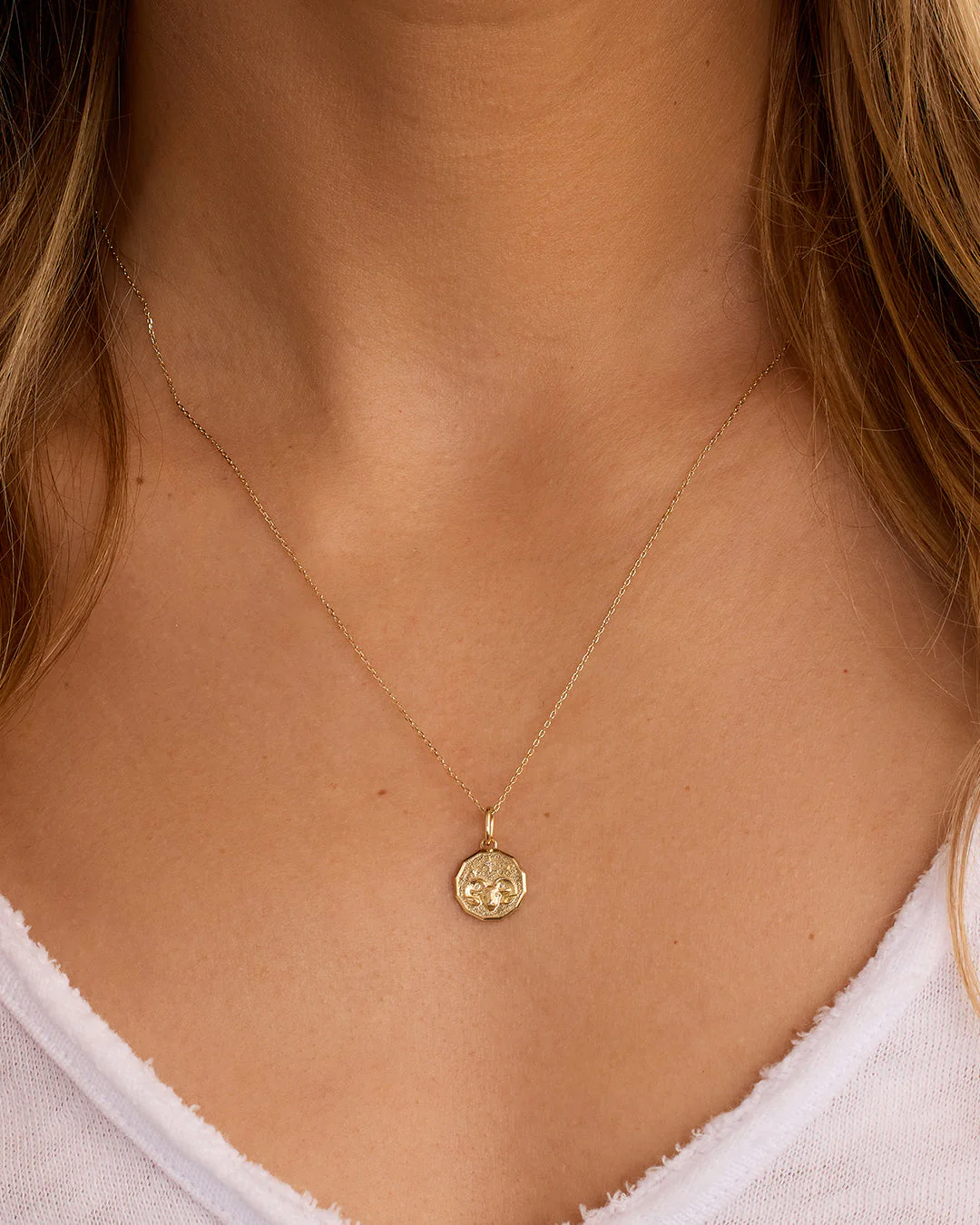 Diamond Zodiac Coin Charm - Image 14