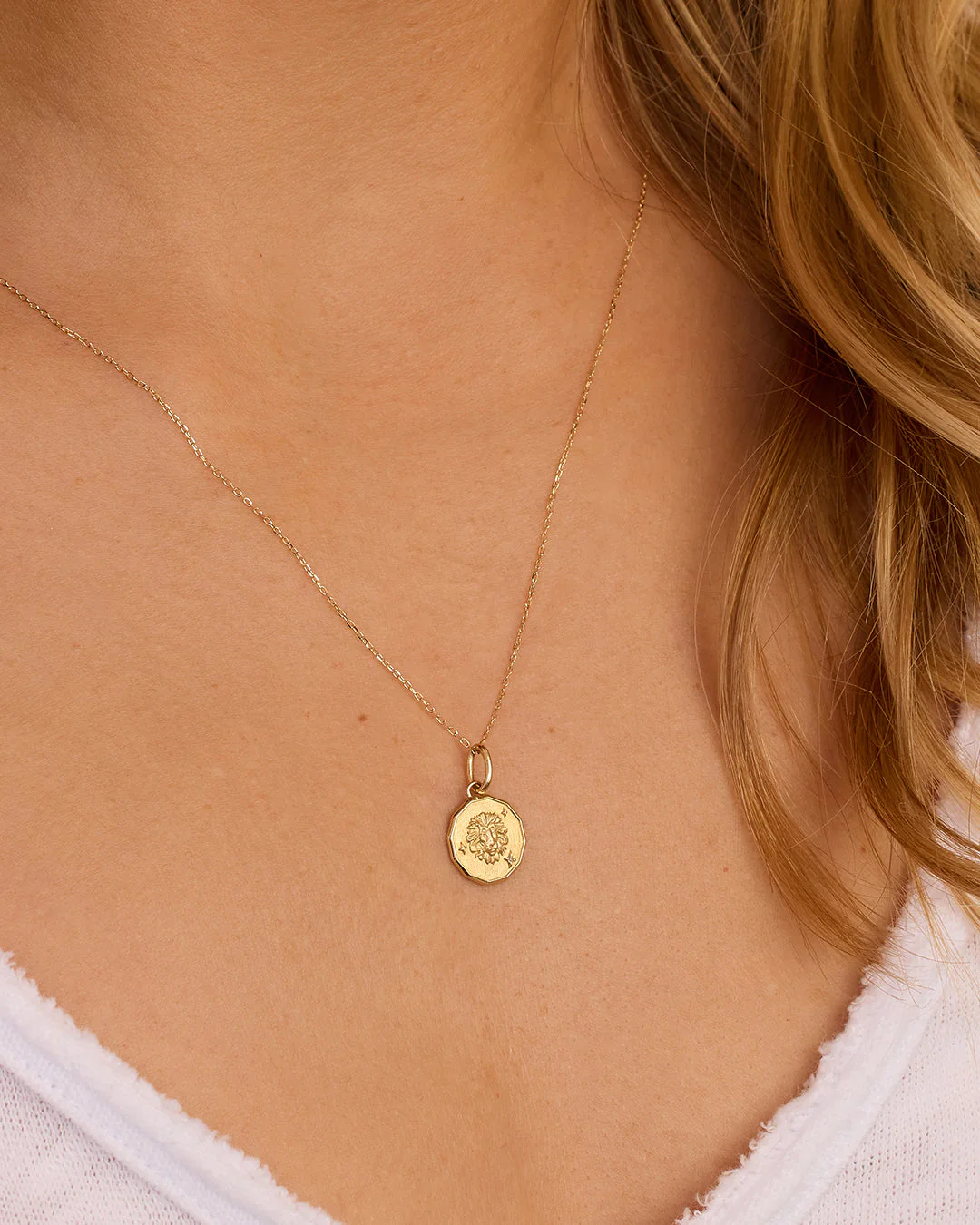 Diamond Zodiac Coin Charm - Image 30